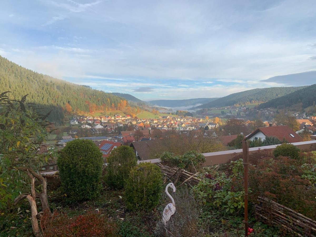 Appartement Mit Herrlicher Aussicht Uebers Murgtal 바이에르스브론 외부 사진